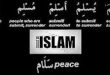 Islam meaning